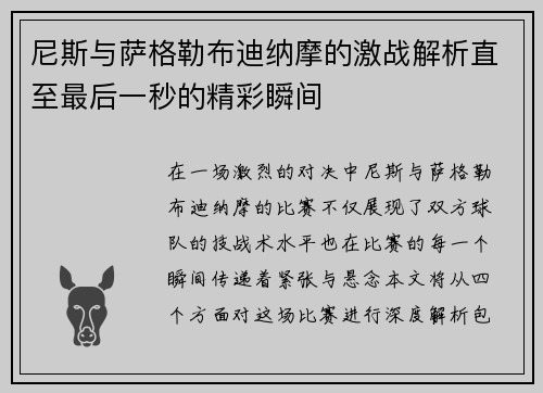 尼斯与萨格勒布迪纳摩的激战解析直至最后一秒的精彩瞬间