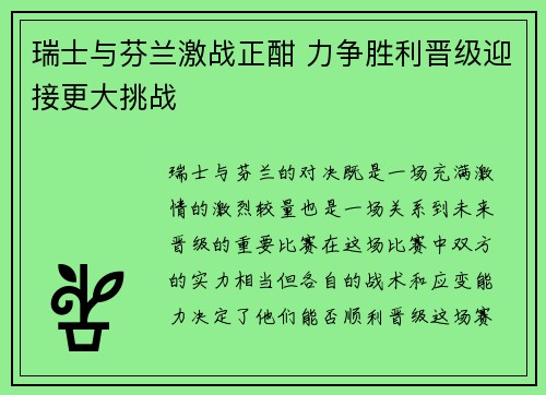 瑞士与芬兰激战正酣 力争胜利晋级迎接更大挑战