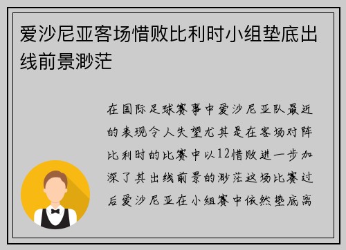 爱沙尼亚客场惜败比利时小组垫底出线前景渺茫